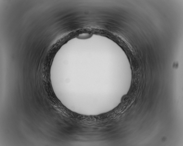 X0000097980919200804211034