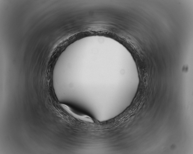 X0000097980920200804211034