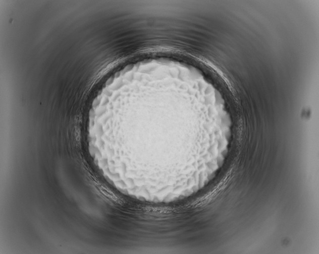 X0000097980921200804211034