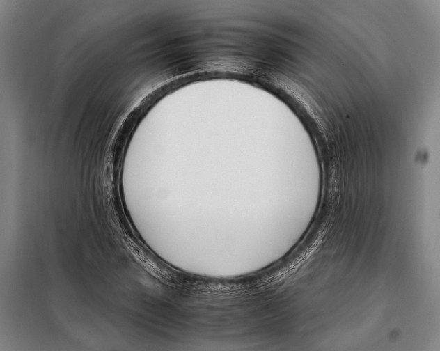 X0000097980923200804211034