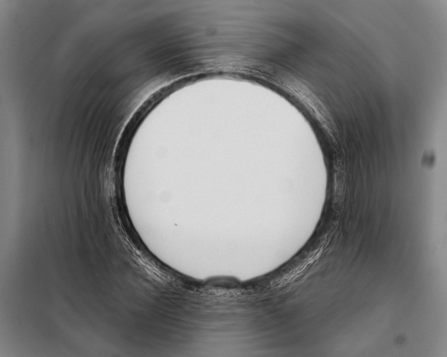 X0000097980924200804211034