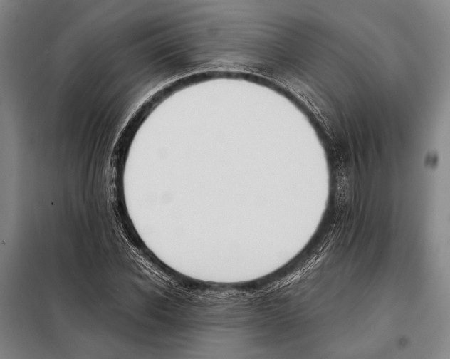 X0000097980926200804211034