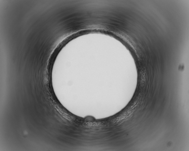 X0000097980927200804211034