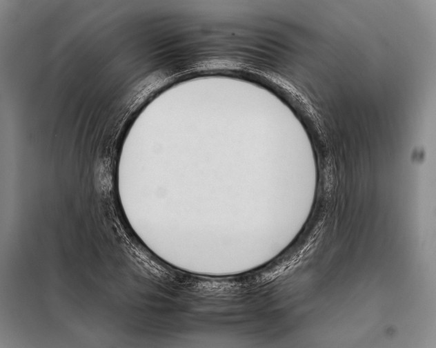 X0000097980929200804211034