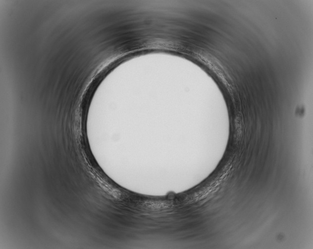 X0000097980931200804211034