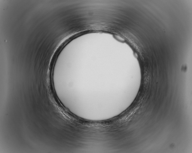 X0000097980932200804211034