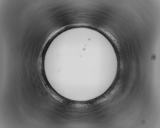 X0000097980933200804211034