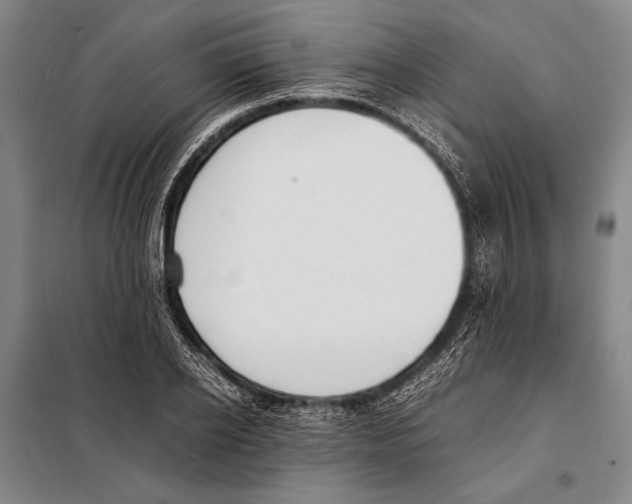 X0000097980934200804211034