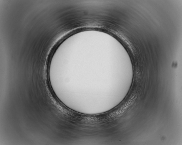 X0000097980935200804211034