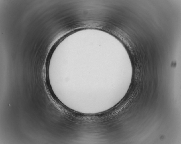 X0000097980936200804211034