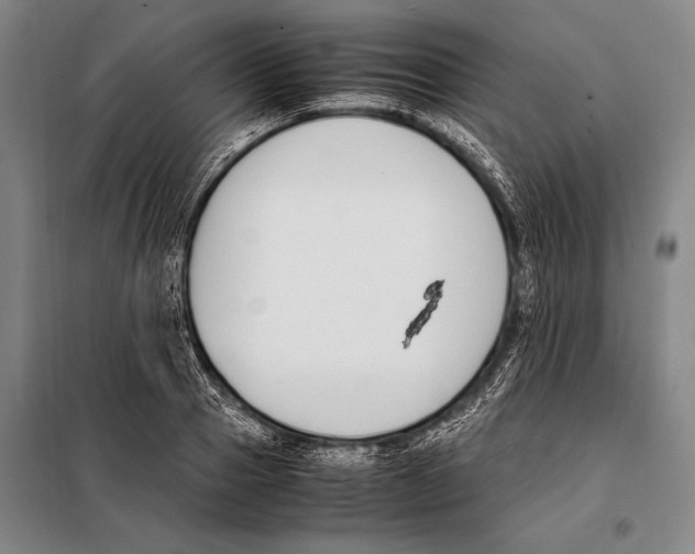 X0000097980937200804211034