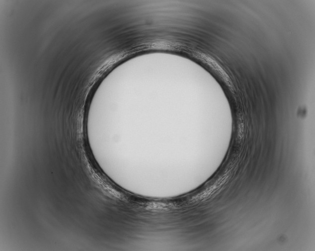 X0000097980938200804211034