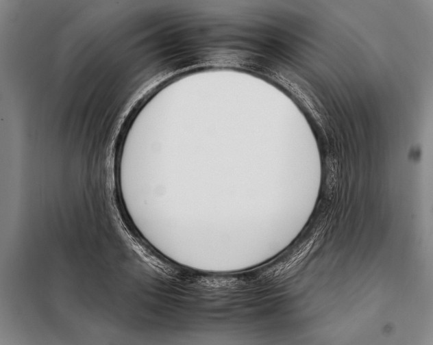 X0000097980939200804211034