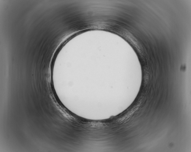 X0000097980940200804211034