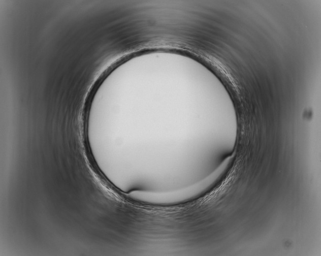 X0000097980942200804211034