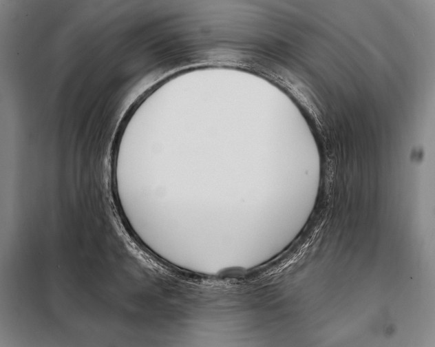 X0000097980944200804211034