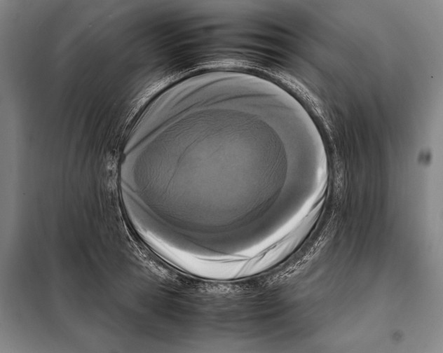 X0000097980945200804211034