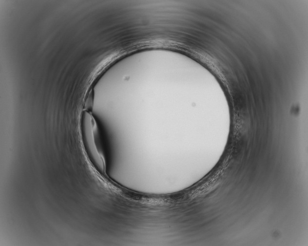 X0000097980946200804211034