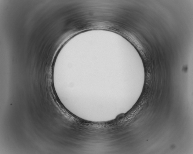 X0000097980948200804211034