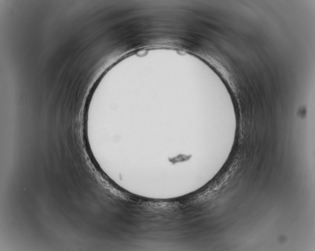 X0000097980949200804211034