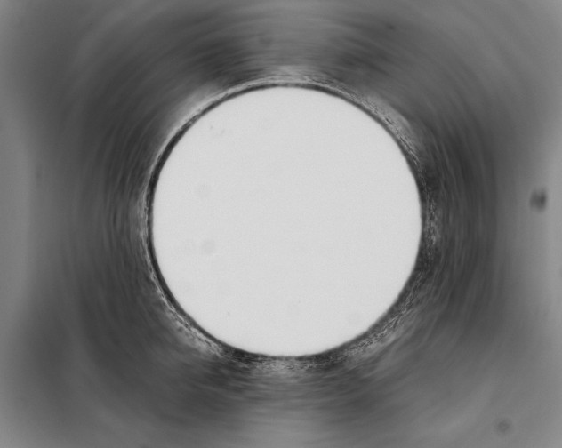 X0000097980950200804211034