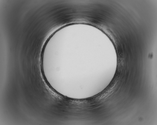 X0000097980951200804211034