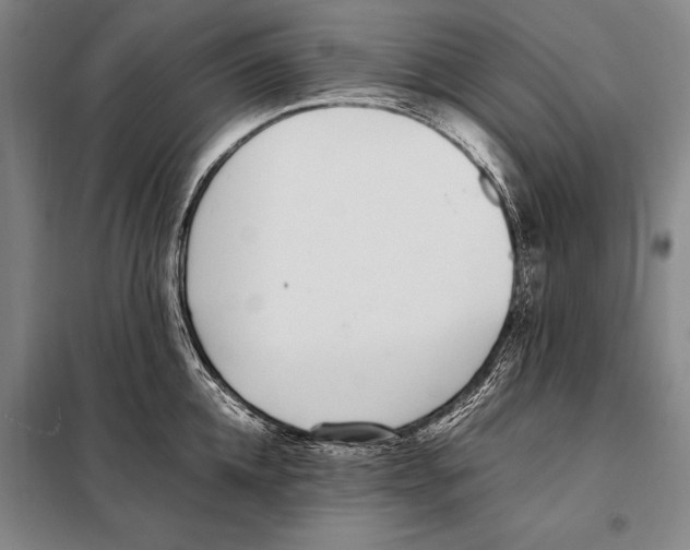 X0000097980952200804211034