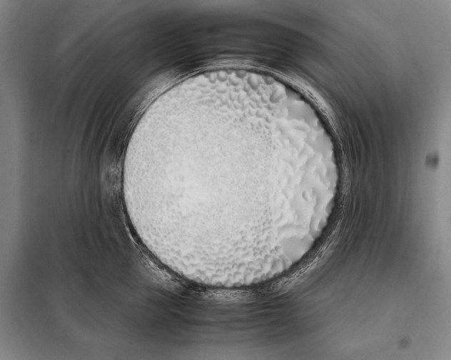 X0000097980953200804211034