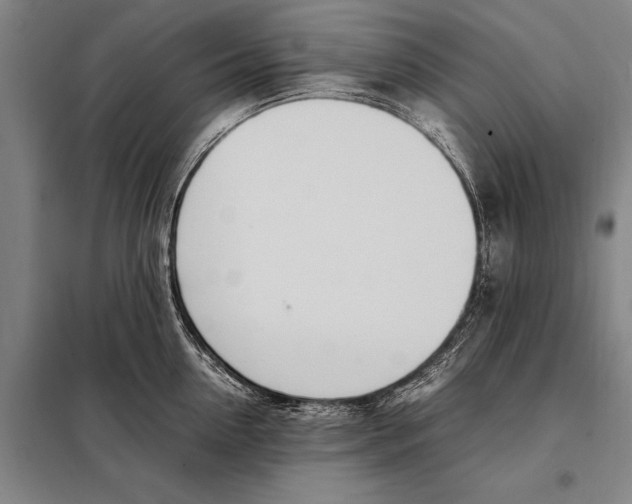 X0000097980954200804211034