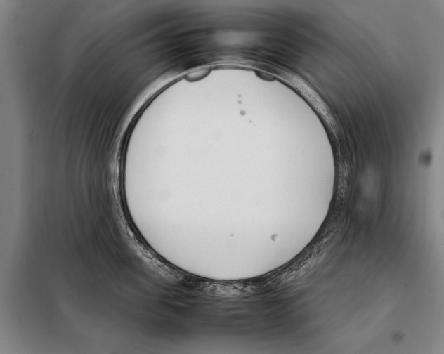 X0000097980955200804211034