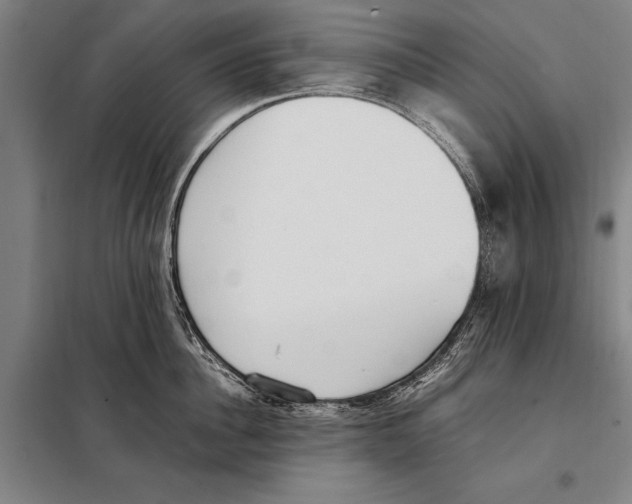 X0000097980956200804211034