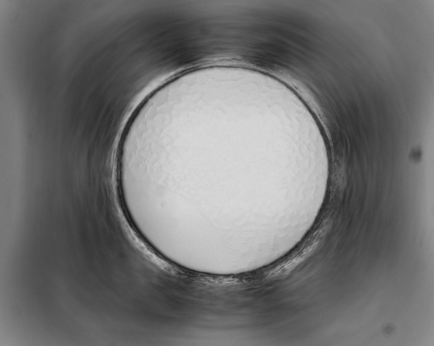 X0000097980957200804211034