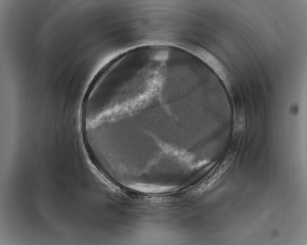 X0000097980958200804211034