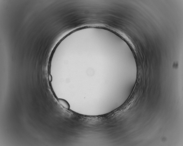 X0000097980959200804211034