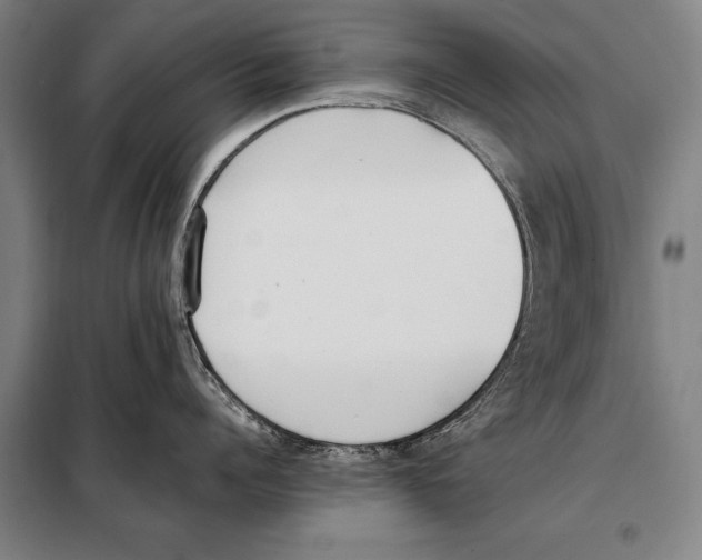 X0000097980960200804211034