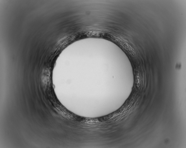 X0000097980964200804211034