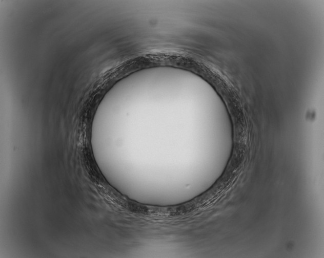 X0000097980965200804211034