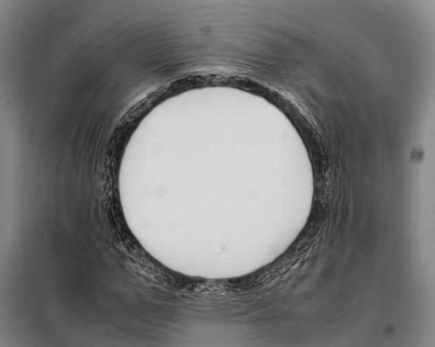 X0000097980967200804211034