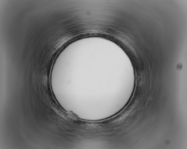 X0000097980969200804211034