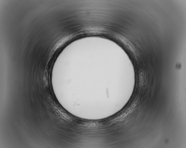 X0000097980970200804211034