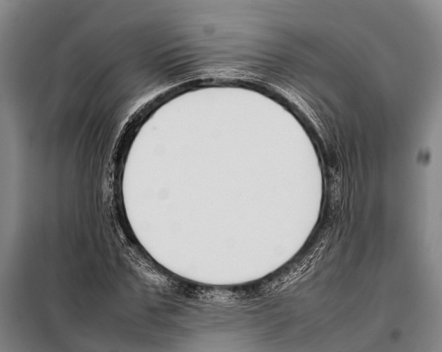 X0000097980971200804211033