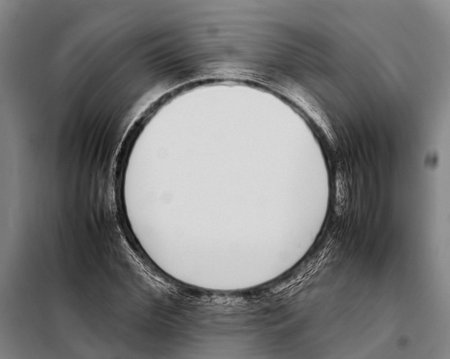 X0000097980972200804211033