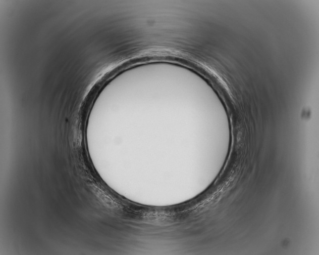 X0000097980973200804211033