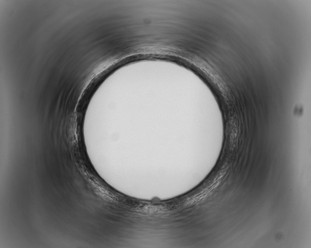 X0000097980974200804211033