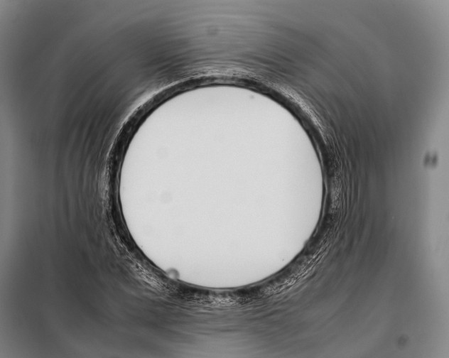 X0000097980975200804211033