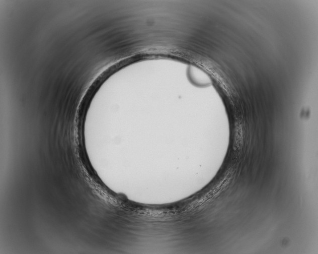 X0000097980976200804211033