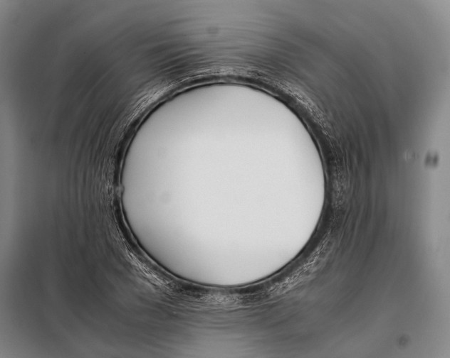 X0000097980977200804211033