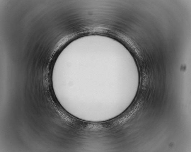 X0000097980978200804211033