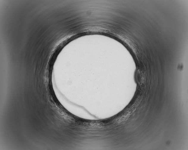 X0000097980979200804211033