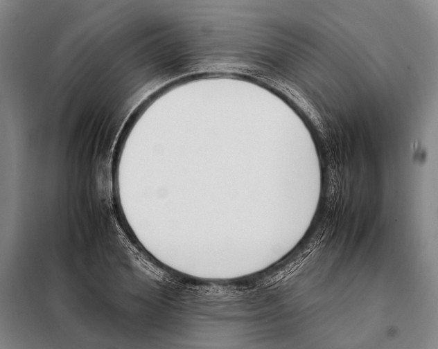 X0000097980980200804211033